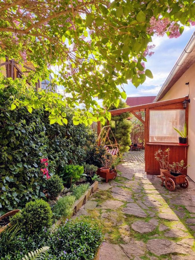 Apartment In A Historical House In The Center Of Levoča Dış mekan fotoğraf